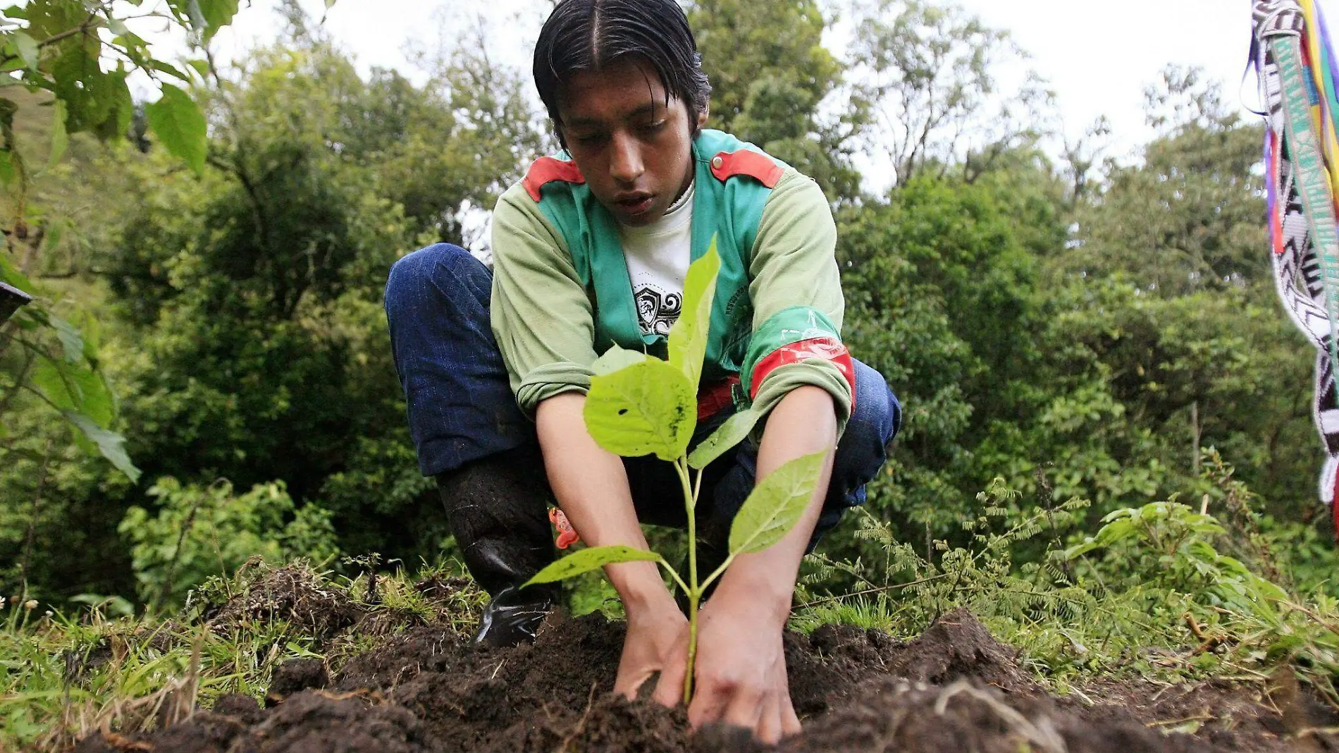 Naturaleza y pueblos indígenas